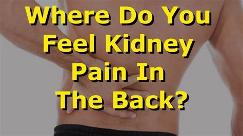 Kidney Pain Location