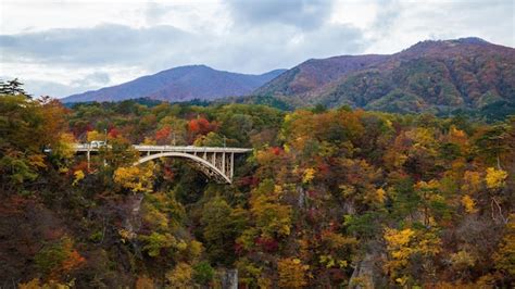 Premium Photo | A bridge over a river with fall colors in the background