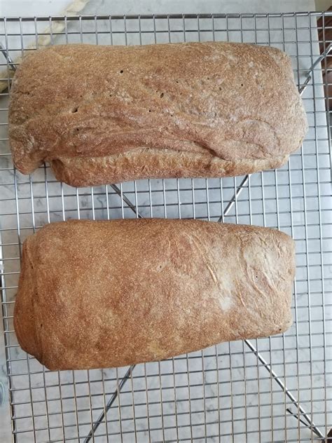 How to make whole wheat ciabatta bread - The Hint of Rosemary