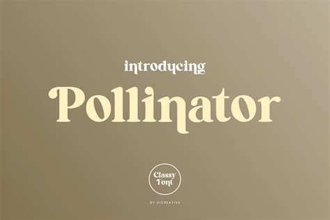 Pollinator Display Serif Font | Creative Market