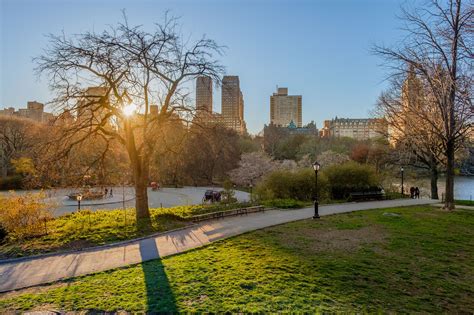 Sunset in Central Park | Central park, Park, Sunset