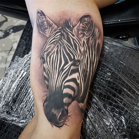 Cartoon zebra tattoo - securesery