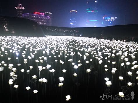 Dongdaemun Design Plaza LED Rose Garden – hellosihui