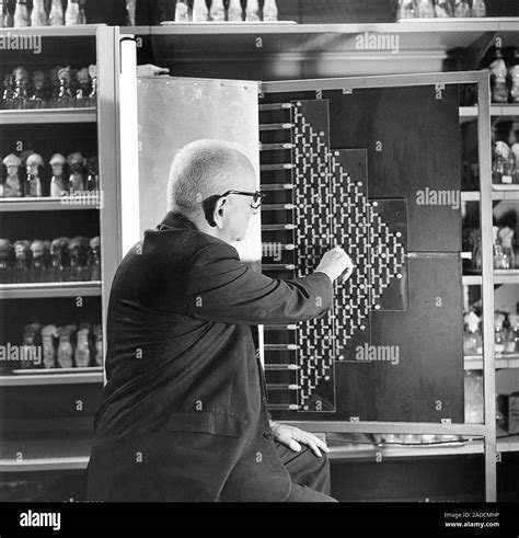 Russian-US geneticist Theodosius Dobzhansky (1900-1975) in his ...