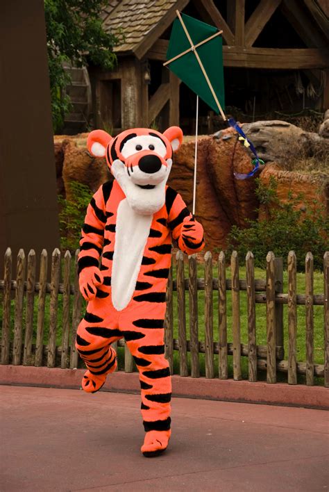 Free Images : amusement park, art, tiger, stripes, character, costume ...