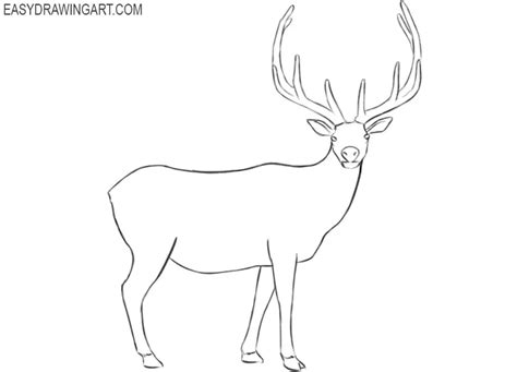 How to Draw an Elk - Easy Drawing Art