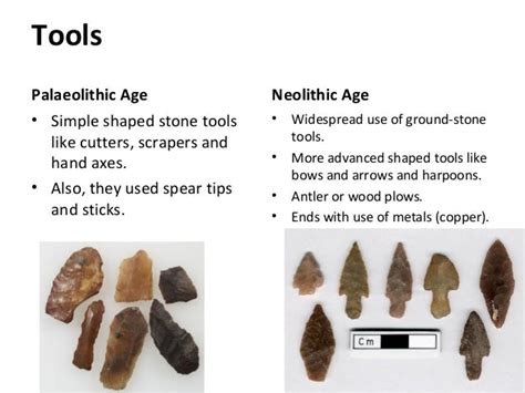 Neolithic Era Tools