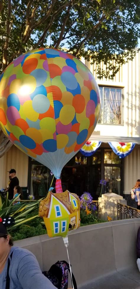 VIDEO: Adorable Up! Balloons Spotted At Disneyland | Chip and Company