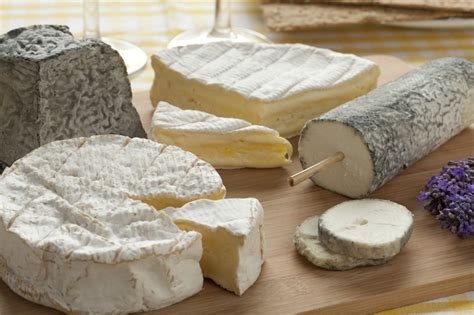 FSS report suggests ways to improve pathogen control in raw milk cheeses | Food Safety News