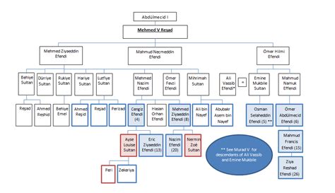 Family tree showing descent from Sultan Mehmed V Reshad | Family tree, Royal family trees, Geneology