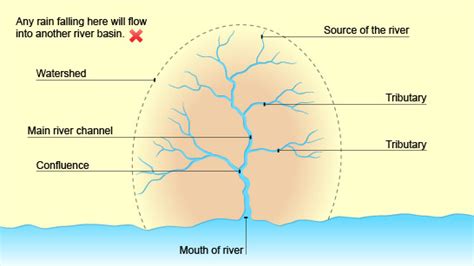 What Is A Drainage Basin In Geography Terms - Best Drain Photos Primagem.Org