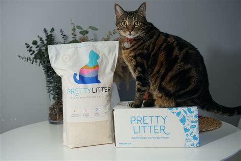 Pretty Litter Subscription Review | Technomeow