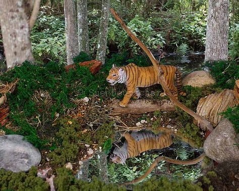 8 Leopard habitat project ideas | habitats projects, diorama kids ...