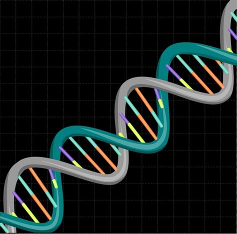 Dna vector free vector download (60 Free vector) for commercial use. format: ai, eps, cdr, svg ...