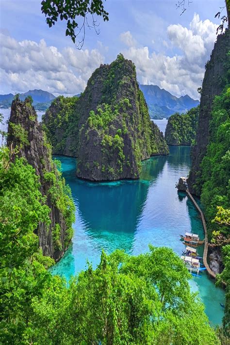 Kayangan Lake, Coron, Palawan in 2024 | Coron palawan, Palawan, Coron island