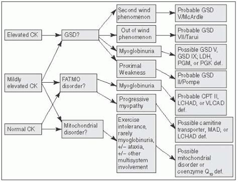 Neuromuscular Disorders | Neupsy Key