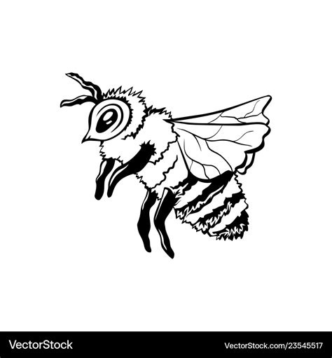 Honey Bee Outline