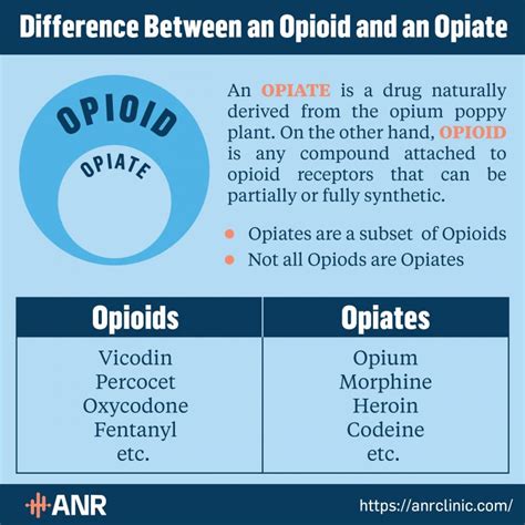 Opioid vs Opiate - Synthetic Pain Medicine Reviewed