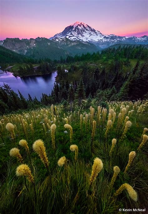 Mount Rainier National Park - Expéditions de l'Extrème