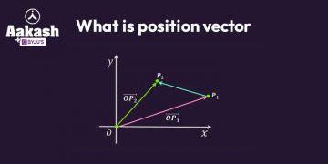 What is Position Vector?