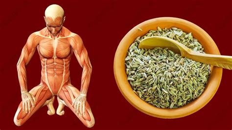 8 Serious Side Effects Of Fennel Seeds | ALL YOU Need TO know - YouTube