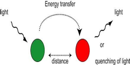 Energy Transfer - Assignment Point