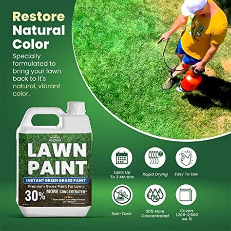 PetraTools Lawn Paint, Green Grass Lawn Spray Grass Paint For Lawn, Green Lawn Spray, Green ...