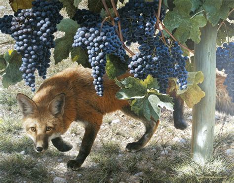 GURURAJ.N.: The Fox and the Grapes