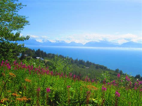 Summer vacations in Alaska - Taste of Travel 2