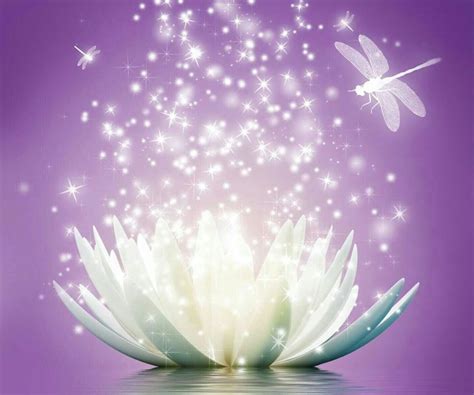 Zen Lotus Wallpapers - Top Free Zen Lotus Backgrounds - WallpaperAccess