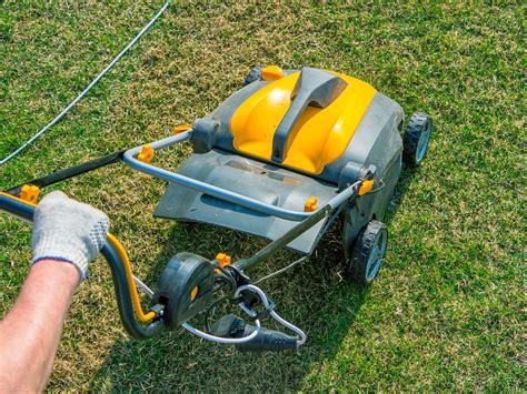 Should You Mow a Lawn Before Scarifying?