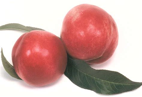 Nectarine - Fruits And Vegetables