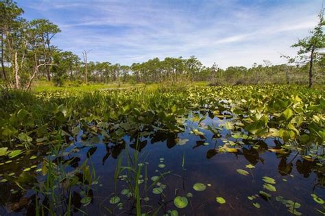 North Carolina Hiking Trails - Places to Hike | VisitNC.com