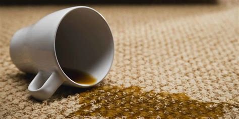 Carpet Stain Removal | Stain Specialists Cardiff & Vale of Glamorgan