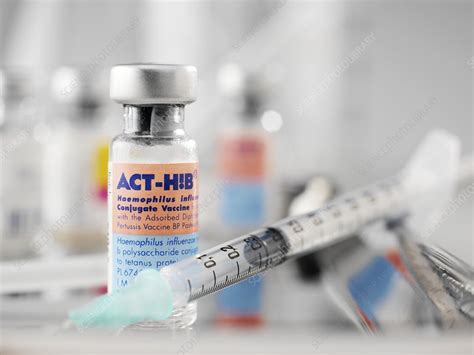 Hib vaccine - Stock Image - M715/0511 - Science Photo Library