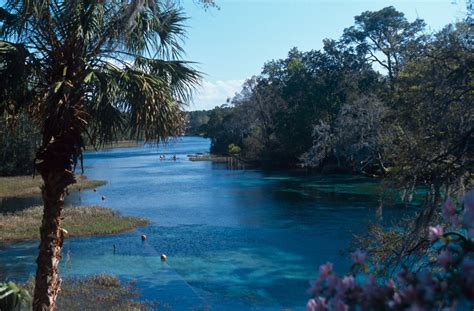 Landforms in Florida