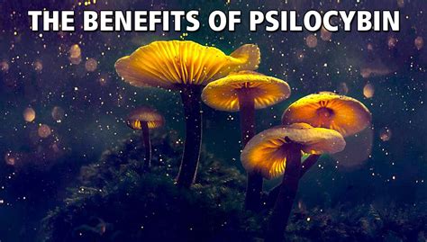 Psilocybin Therapy: Growing Magic Mushrooms - Binaural Blog