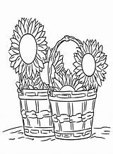 30  Flower Basket Coloring Pages Free Printable PDF JPG PNG sketch template