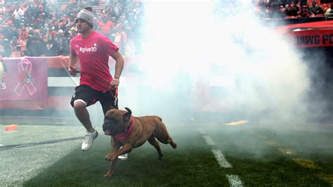 Swagger, beloved Browns’ bullmastiff mascot, to retire Sunday | wkyc.com