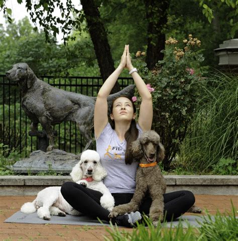 Doga - Yoga with your Dog - St. Louis Yoga Week 2020