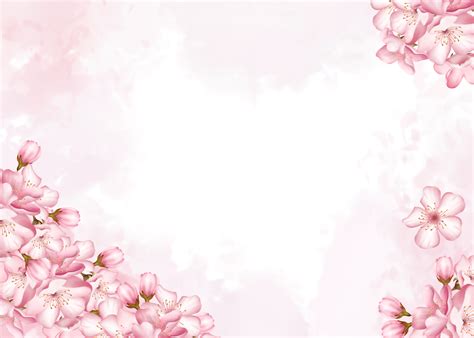 Pink Sakura Flowers Blooming Background, Pc Wallpaper, Wallpaper, Cherry Blossoms Background ...