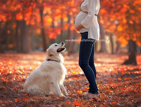 Dog Photo Shoot Fall - PetsWall