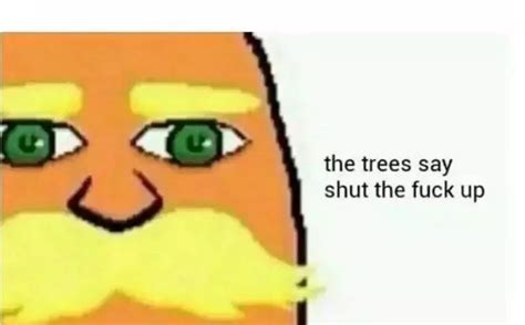 I Am The Lorax I Speak For The Trees | Know Your Meme