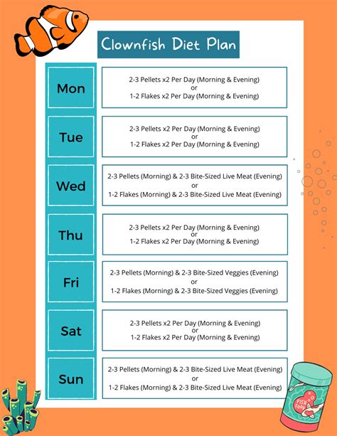 Clownfish Diet - What Do They Eat and How Often Should They Be Fed?