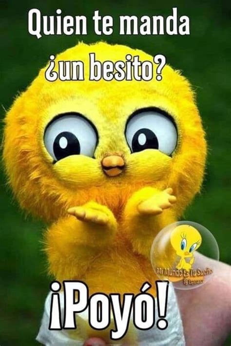 Good Morning Beautiful In Spanish Meme - good morning motivational quotes