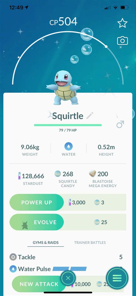 Got a shiny turtle 🐢 | Pokemon GO Amino