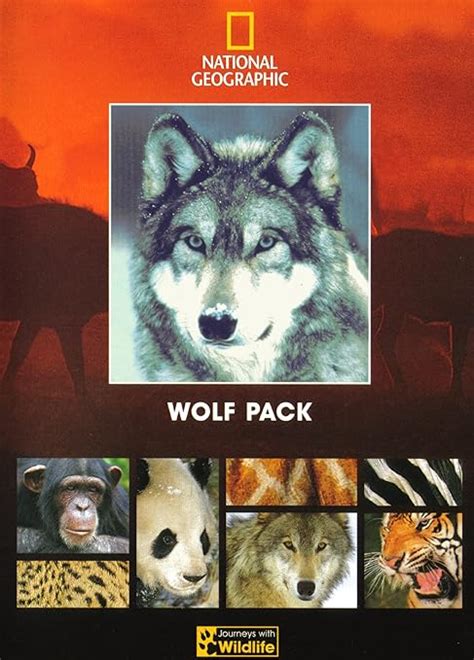 National Geographic - Wolf Pack: Amazon.co.uk: DVD & Blu-ray