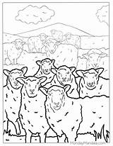 Sheep Coloring Page sketch template