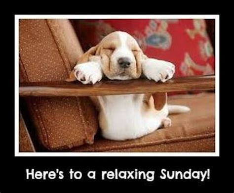 Here's To A Relaxing Sunday sunday sunday quotes happy sunday sunday humor sunday quote happy ...