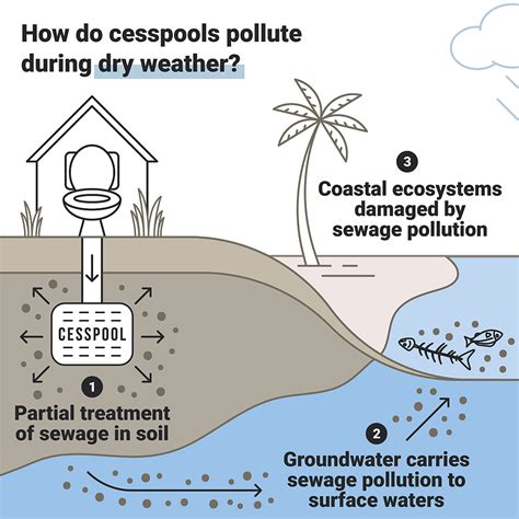 How do cesspools pollute coastal watersheds? – Surfrider Foundation